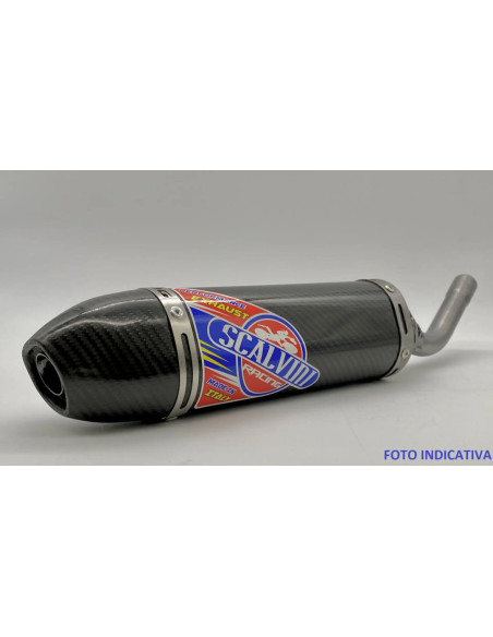 Silencieux Carbone Scalvini BETA RR 250/300 - 2020/2024