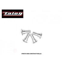 Vis disque de frein TALON M6 X 12 mm