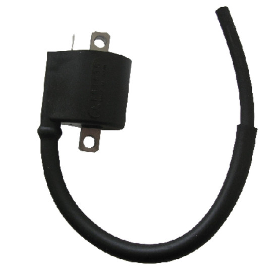 Bobine d'allumage SGR Beta 350 ALP 2004-2019 Euro 1999-2006 Jonathan 2002-2004 M4 2006-2015 Kawasaki 400 KFX 2002-2006 Suzuki..