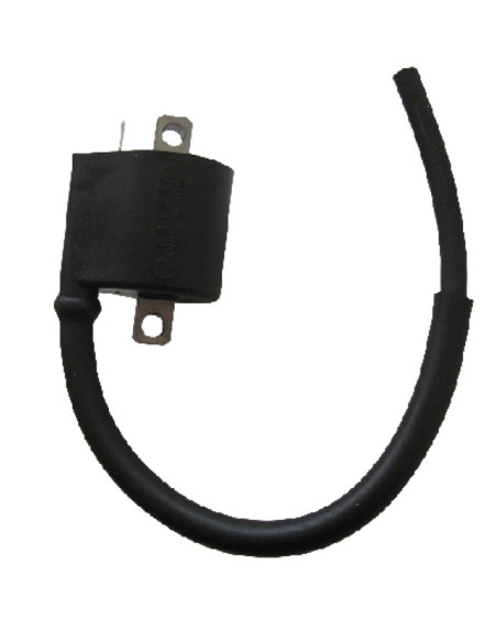 Bobine d'allumage SGR Beta 350 ALP 2004-2019 Euro 1999-2006 Jonathan 2002-2004 M4 2006-2015 Kawasaki 400 KFX 2002-2006 Suzuki..