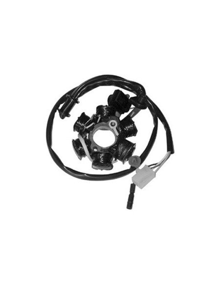 Stator SGR Peugeot 50 Buxxy/Looxor/Metal X/Speedake/Speedfight/Squab/SV/Trekker/Vivacity/Zenith 100 Speedfight/Trekker
