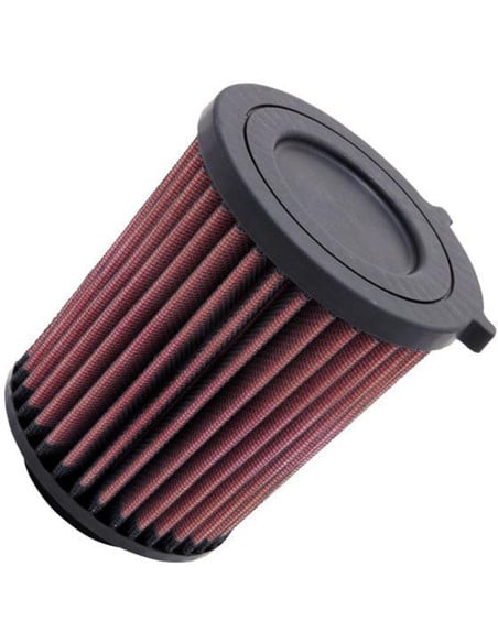 Filtre à air K&N Honda TRX 420 TE Rancher 2007-2013