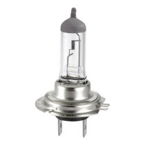 Ampoule Hert PX26D H7 12V 55W