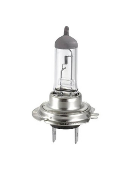 Ampoule Hert PX26D H7 12V 55W