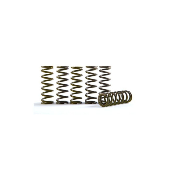 Kit 6 ressorts d'embrayage haute performance HINSON Husqvarna 250/350 FC/FE KTM 350 SXF/FREERIDE