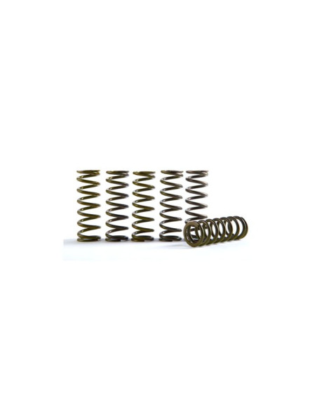 Kit 6 ressorts d'embrayage haute performance HINSON Husqvarna 250/350 FC/FE KTM 350 SXF/FREERIDE