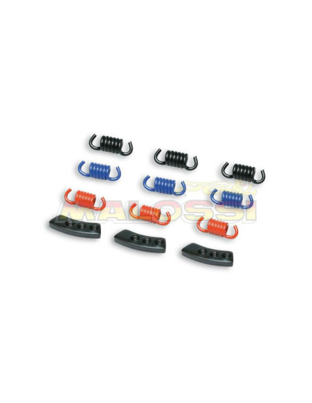 Kit 9 ressorts embrayage MHR MALOSSI Piaggio 350 Beverly 2012-2017 X10 2012-2015
