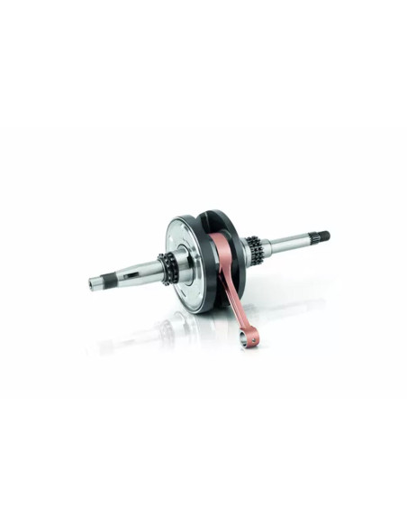 Vilebrequin Evolution JASIL Peugeot 50 Jet Force 2003-2012 Ludux 2004-2007 Speedfight 2009-2014