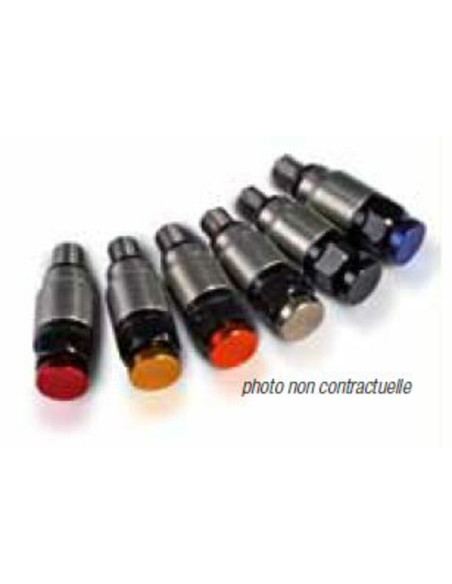 Purgeurs de fourche KTM WP