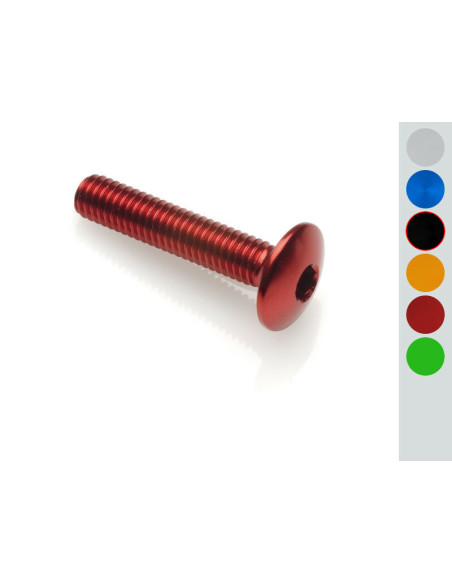 Vis tête bombée LIGHTECH M5 x 10 Ergal