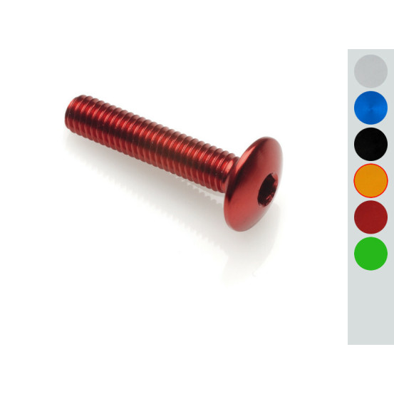 Vis tête bombée LIGHTECH M5 x 20 Ergal