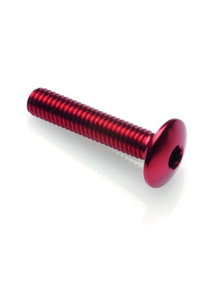 Vis tête bombée LIGHTECH M5 x 20 Ergal