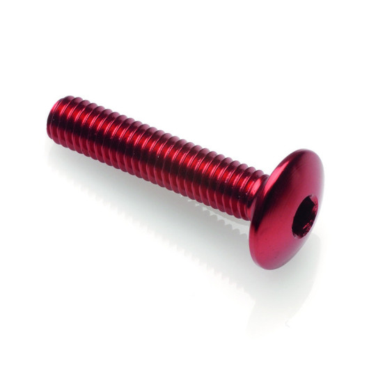 Vis tête bombée LIGHTECH M6 x 20 Ergal