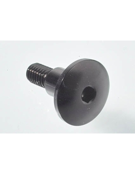 Vis spéciale Ergal 7075 LIGHTECH M5 X 16 5 type 962