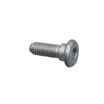 Vis BTR (8x25) fixation disque de frein arrière origine Piaggio Moto Guzzi