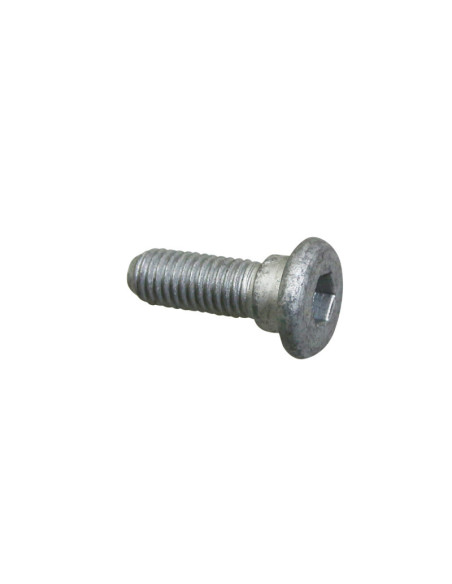 Vis BTR (8x25) fixation disque de frein arrière origine Piaggio Moto Guzzi