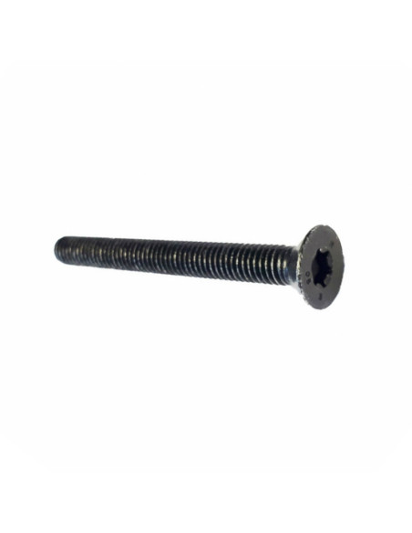 Vis Torx tête fraisée M6x55 embout de guidon origine Piaggio