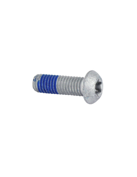 Vis Torx tête bombée M8x25 origine Piaggio