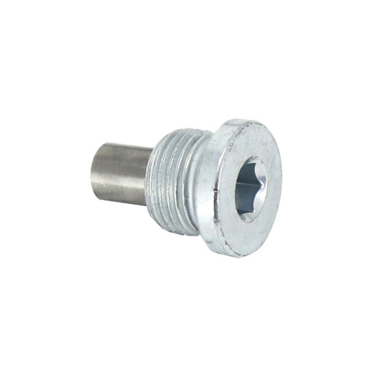 Bouchon de vidange origine Moto Guzzi V100 2022