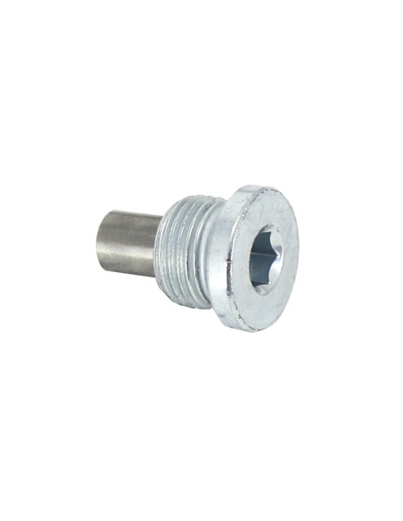 Bouchon de vidange origine Moto Guzzi V100 2022