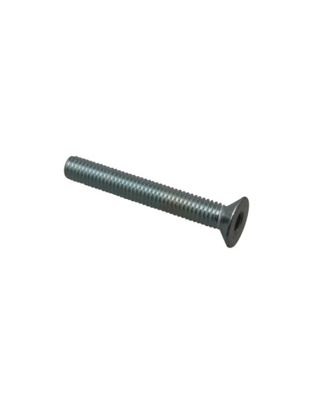 Vis embout de guidon origine Piaggio