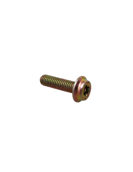 Vis Torx M6x25 origine Piaggio