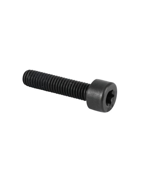 Vis Torx M5x22 origine Piaggio