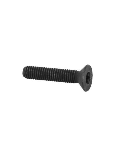 Vis Torx M6x30 origine Piaggio