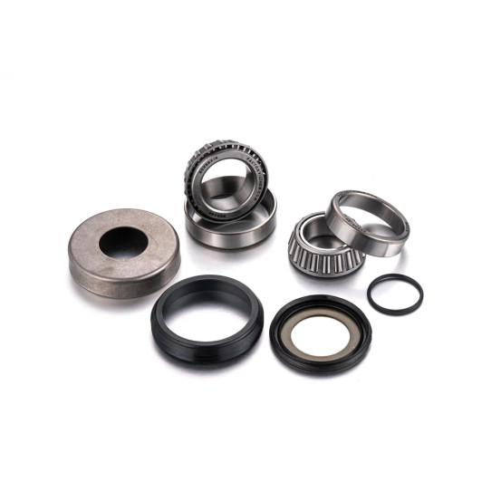 Kit roulements de colonne de direction FACTORY LINKS - SHERCO