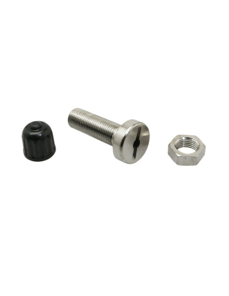 Valve Tubeless origine Piaggio MOTO Aprilia / Moto Guzzi