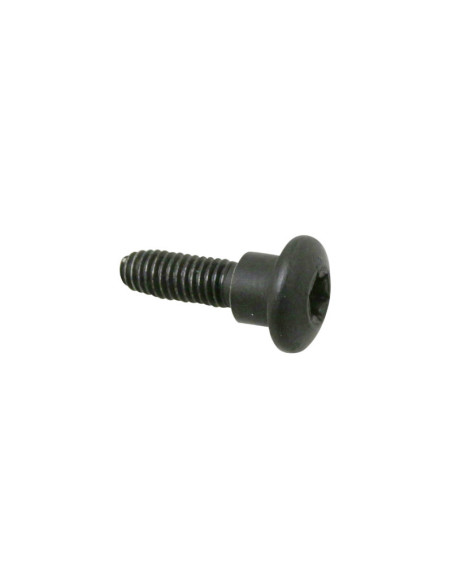 Vis Torx M6x22 carénage origine Piaggio