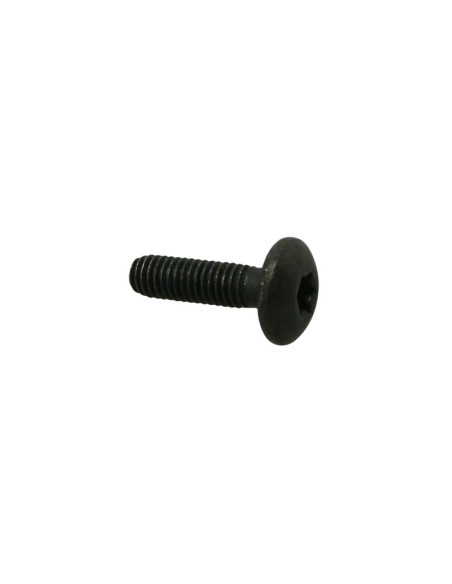 Vis Torx M6x22 tête bombée origine Piaggio