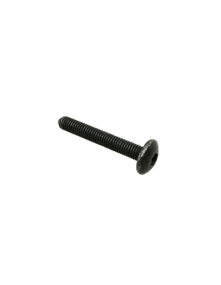 Vis Torx M6x40 tête bombée origine Piaggio