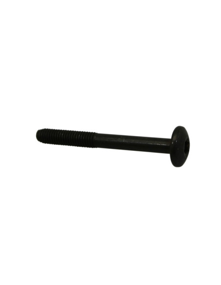 Vis Torx M6x55 origine Piaggio