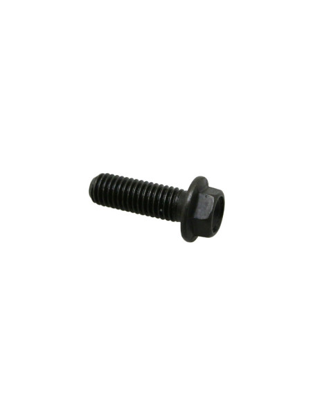 Vis tête hexagonale M8x25 origine Piaggio