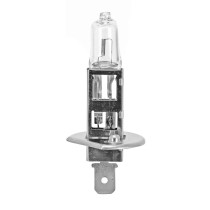 Ampoule halogène H1 12V 55w culot p14 / 5s blanc (projecteur)