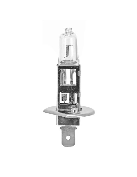 Ampoule halogène H1 12V 55w culot p14 / 5s blanc (projecteur)