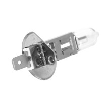 Ampoule halogène H1 12V 55w culot p14 / 5s blanc (projecteur) 2