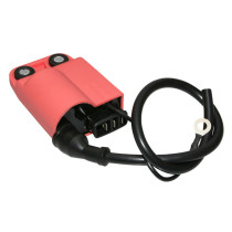 Bobine d'allumage avec CDI Piaggio 50 Zip 2T 1992-1997 / 50 Typhoon 1994-1997 / 50 NRG 1994-1998 (grosses fiches)
