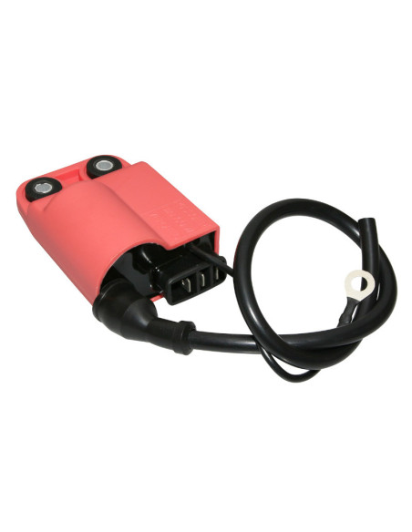 Bobine d'allumage avec CDI Piaggio 50 Zip 2T 1992-1997 / 50 Typhoon 1994-1997 / 50 NRG 1994-1998 (grosses fiches)