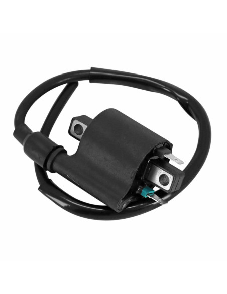 Bobine d'allumage maxiscooter Yamaha 50 Neo's 4T / 50 Nitro 4T / 125 X-Max 2005-2017 (12V / 2 cosses)