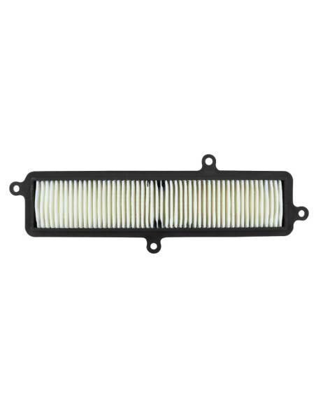 Filtre à air maxiscooter Suzuki 125 / 200 Burgman 2007-2020