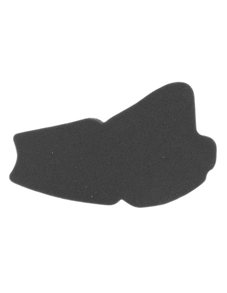 Filtre à air scooter Sym 50 Moio