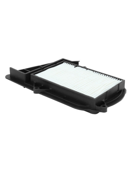 Filtre à air variateur maxiscooter Yamaha 250 X-Max 2006-2016 / MBK 250 Skyliner 2000-2006 / Italjet 250 jupiter 2002-2003