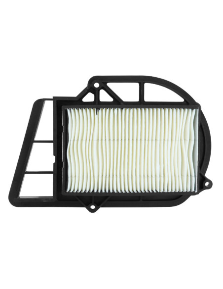 Filtre à air variateur maxiscooter Yamaha 250 X-Max 2006-2016 / MBK 250 Skyliner 2000-2006 / Italjet 250 jupiter 2002-2003