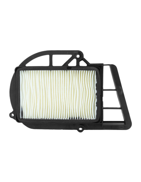 Filtre à air variateur maxiscooter Yamaha 250 X-Max 2006-2016 / MBK 250 Skyliner 2000-2006 / Italjet 250 jupiter 2002-2003