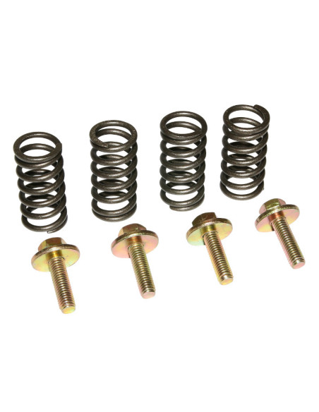 Ressorts d'embrayage avec vis Minarelli 50 AM6 / MBK X-Power / X-Limit / Yamaha TZR / DTR / Peugeot XPS / XR6