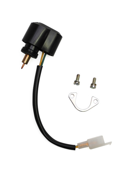 Starter de carburateur électrique / automatique carburateur PHVA ED