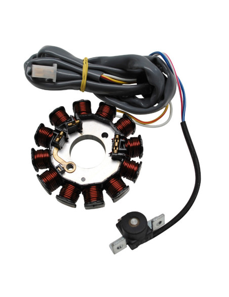 Stator d'allumage MBK 50 Booster / Nitro / Ovetto 2T / Stunt / Yamaha 50 BW's / Aerox / Neo's 2T / Slider après 2004 (12 pôles)
