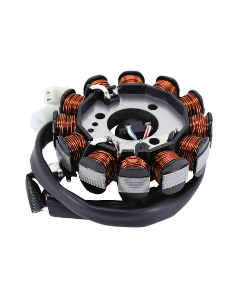 Stator d'allumage MBK 50 Booster X 2007-2009 / Ovetto 2009-2017 / Nitro 2014-2017 4T / Yamaha 50 Giggle 2007-2009 (12 pôles)